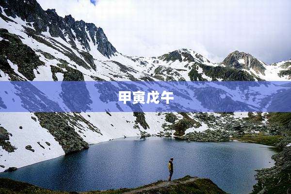 甲寅戊午