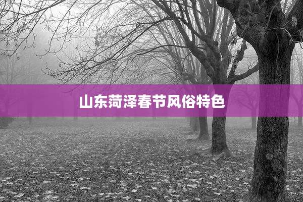 山东菏泽春节风俗特色