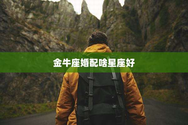 金牛座婚配啥星座好