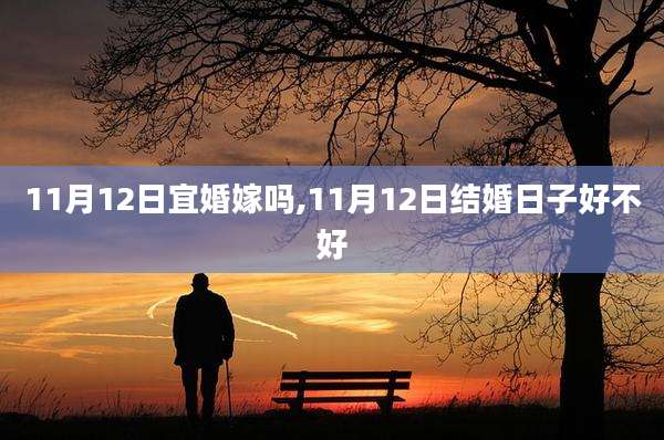 11月12日宜婚嫁吗,11月12日结婚日子好不好