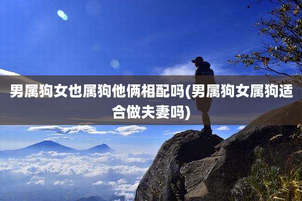 男属狗女也属狗他俩相配吗(男属狗女属狗适合做夫妻吗)