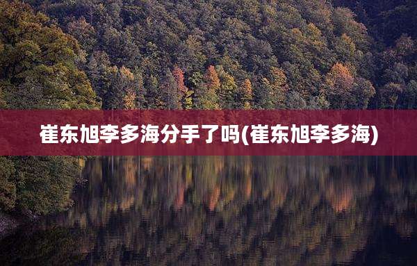 崔东旭李多海分手了吗(崔东旭李多海)