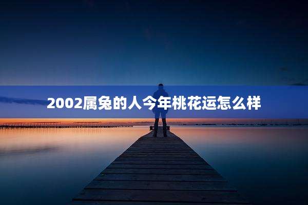 2002属兔的人今年桃花运怎么样