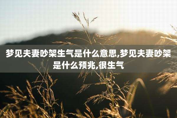 梦见夫妻吵架生气是什么意思,梦见夫妻吵架是什么预兆,很生气