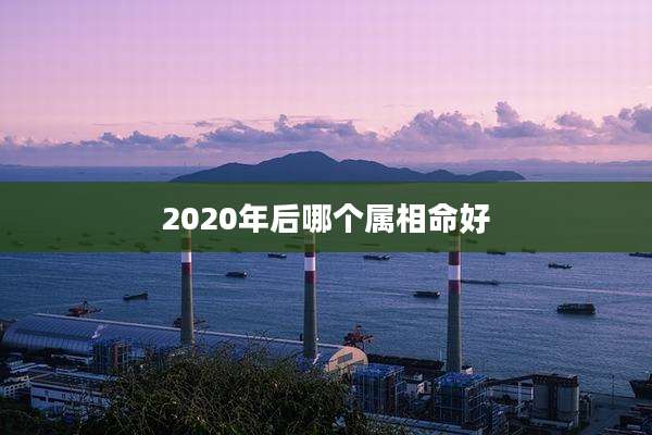 2020年后哪个属相命好