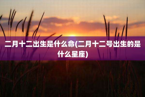 二月十二出生是什么命(二月十二号出生的是什么星座)