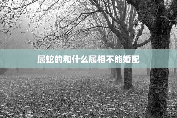 属蛇的和什么属相不能婚配