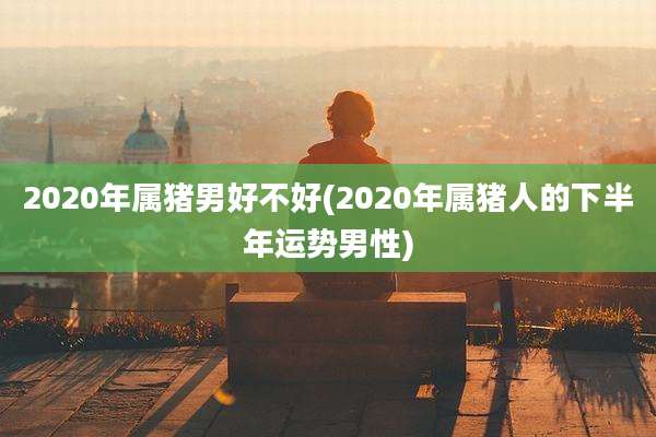 2020年属猪男好不好(2020年属猪人的下半年运势男性)