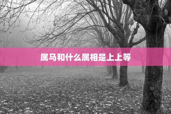 属马和什么属相是上上等