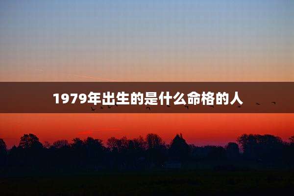 1979年出生的是什么命格的人