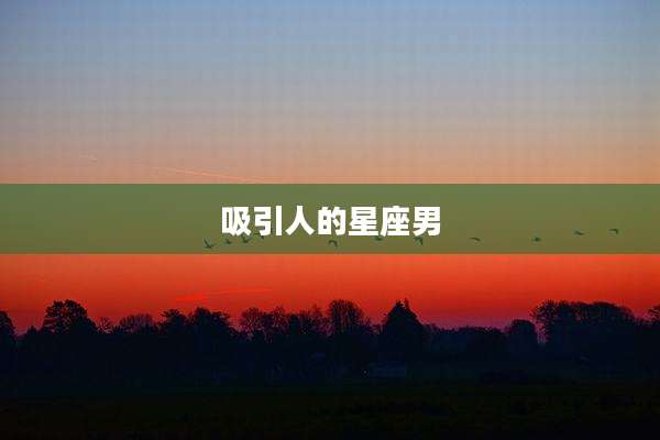 吸引人的星座男