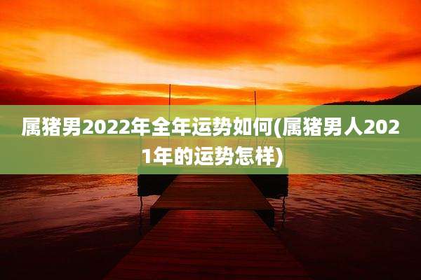 属猪男2022年全年运势如何(属猪男人2021年的运势怎样)