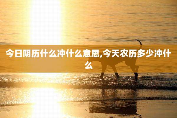 今日阴历什么冲什么意思,今天农历多少冲什么