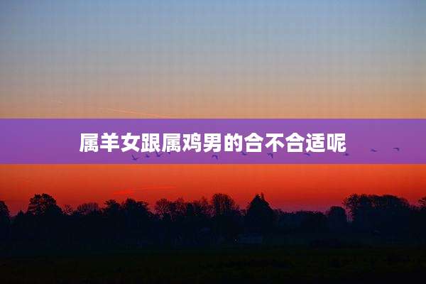 属羊女跟属鸡男的合不合适呢