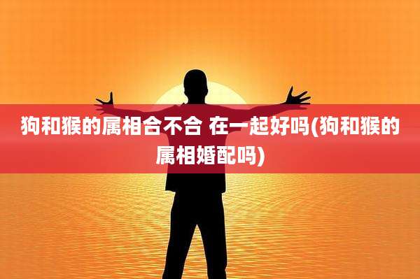 狗和猴的属相合不合 在一起好吗(狗和猴的属相婚配吗)