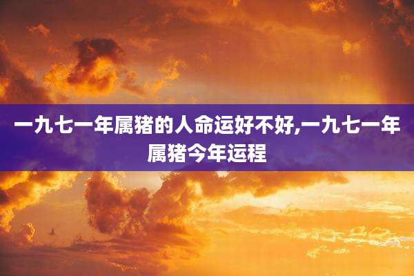 一九七一年属猪的人命运好不好,一九七一年属猪今年运程