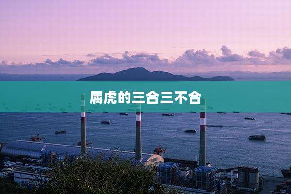 属虎的三合三不合
