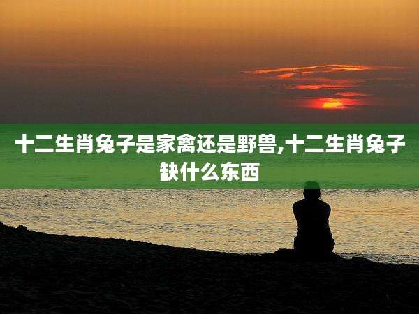 十二生肖兔子是家禽还是野兽,十二生肖兔子缺什么东西