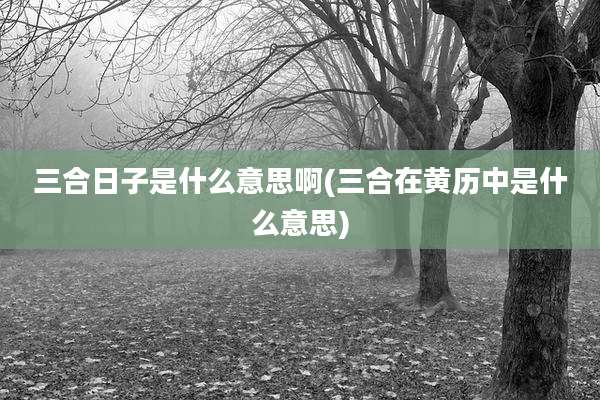 三合日子是什么意思啊(三合在黄历中是什么意思)