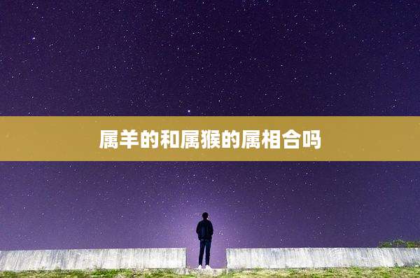 属羊的和属猴的属相合吗