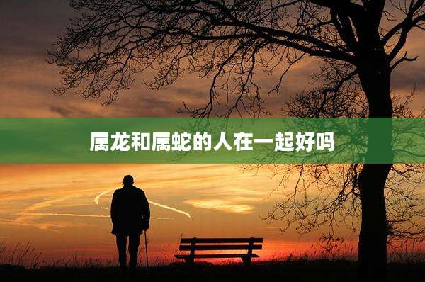 属龙和属蛇的人在一起好吗