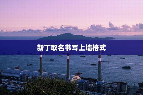 新丁取名书写上墙格式
