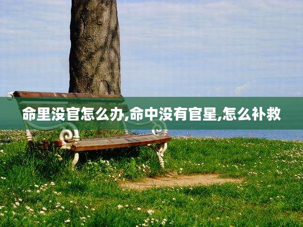 命里没官怎么办,命中没有官星,怎么补救