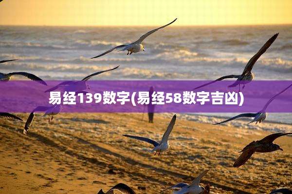易经139数字(易经58数字吉凶)