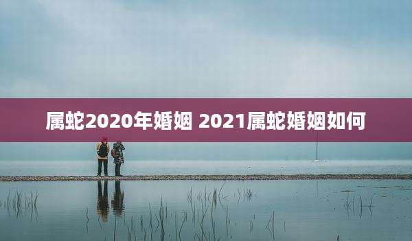 属蛇2020年婚姻 2021属蛇婚姻如何