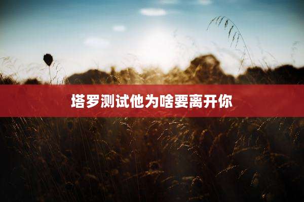 塔罗测试他为啥要离开你