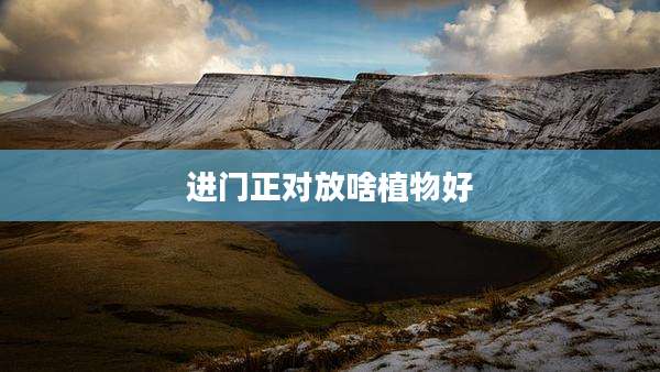 进门正对放啥植物好