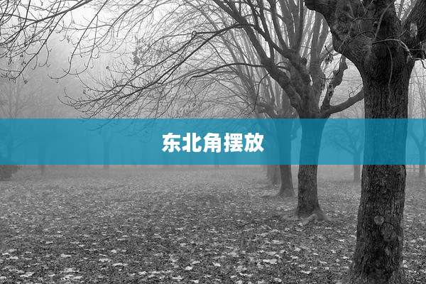 东北角摆放