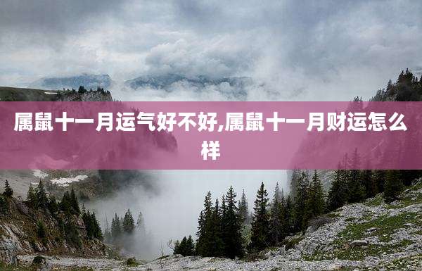 属鼠十一月运气好不好,属鼠十一月财运怎么样