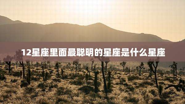 12星座里面最聪明的星座是什么星座