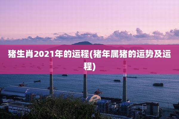 猪生肖2021年的运程(猪年属猪的运势及运程)