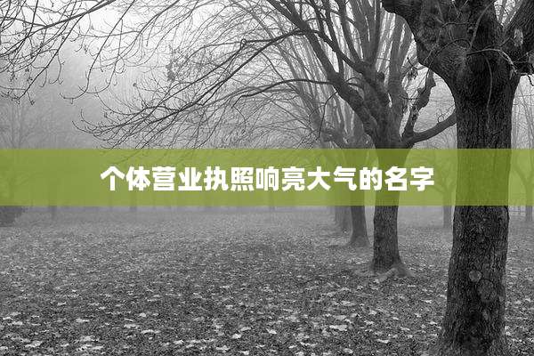 个体营业执照响亮大气的名字