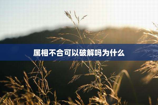 属相不合可以破解吗为什么