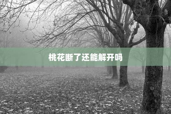桃花断了还能解开吗