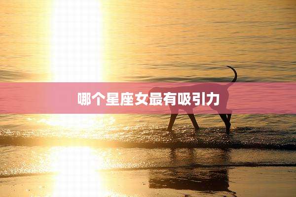 哪个星座女最有吸引力