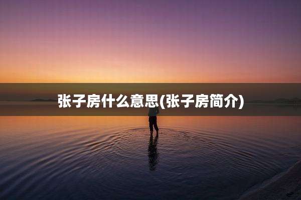 张子房什么意思(张子房简介)