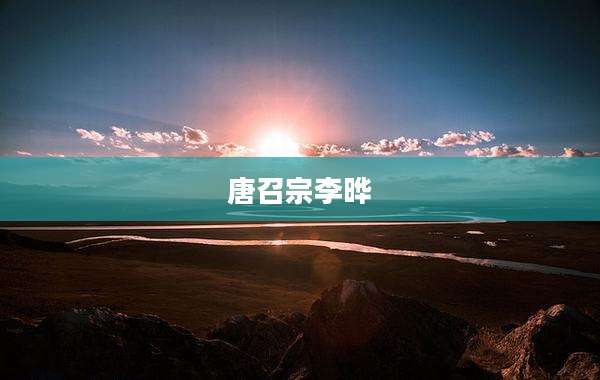 唐召宗李晔