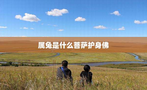 属兔是什么菩萨护身佛