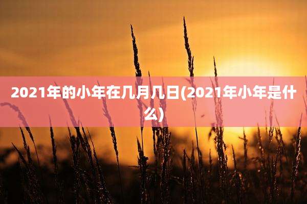 2021年的小年在几月几日(2021年小年是什么)
