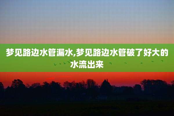 梦见路边水管漏水,梦见路边水管破了好大的水流出来