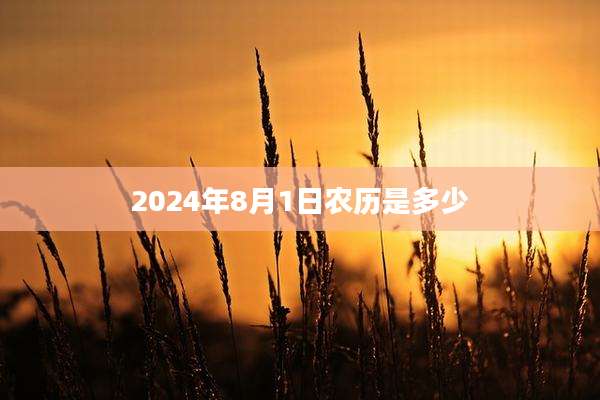 2024年8月1日农历是多少
