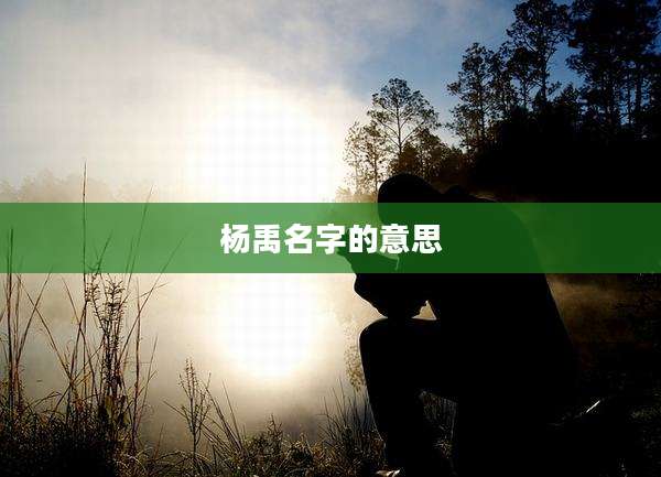 杨禹名字的意思