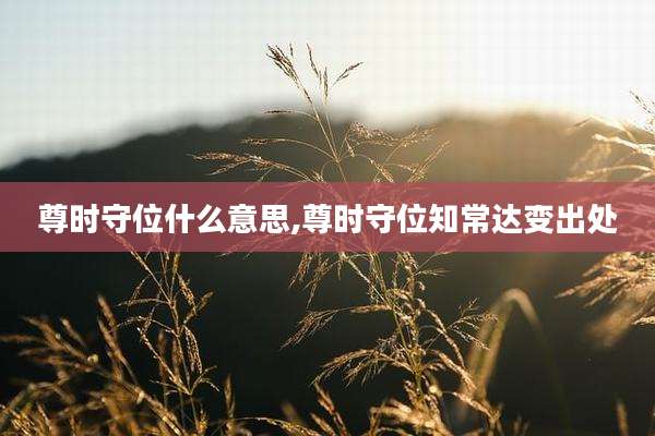 尊时守位什么意思,尊时守位知常达变出处