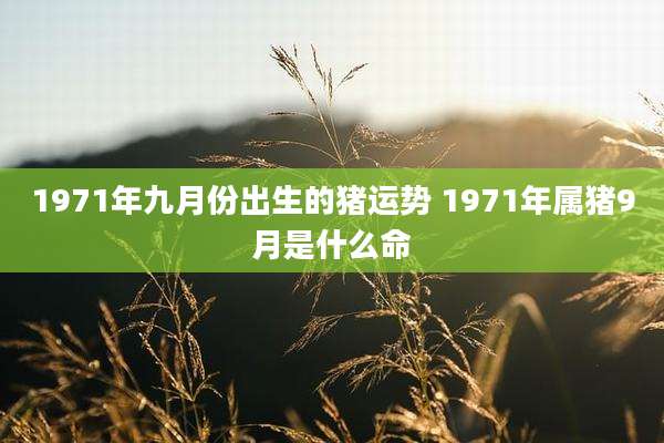 1971年九月份出生的猪运势 1971年属猪9月是什么命
