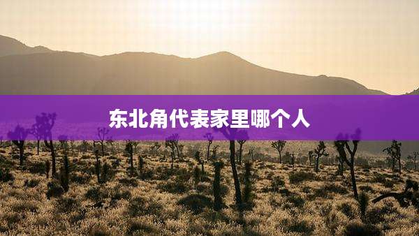 东北角代表家里哪个人