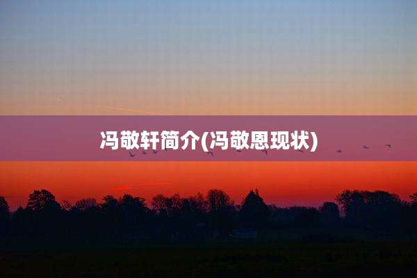 冯敬轩简介(冯敬恩现状)